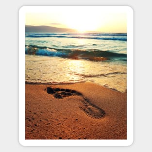 footprints Sticker